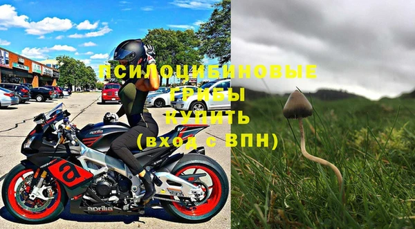 бутират Кукмор