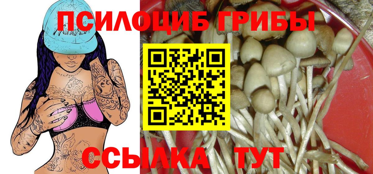 Галлюциногенные грибы прущие грибы  где продают наркотики  Псилоцибиновые грибы GOLDEN TEACHER  Родники  Вход с VPN 