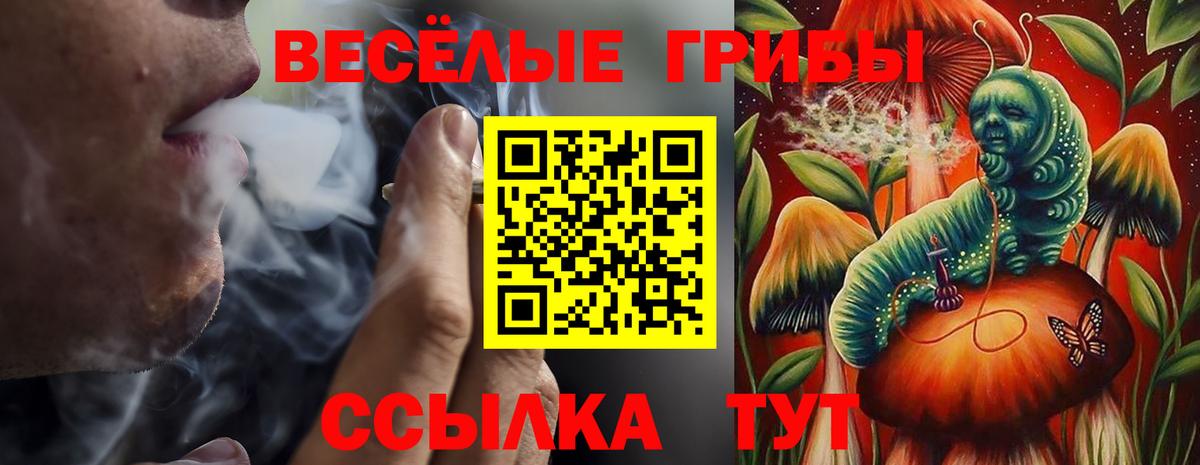 Галлюциногенные грибы мицелий Родники